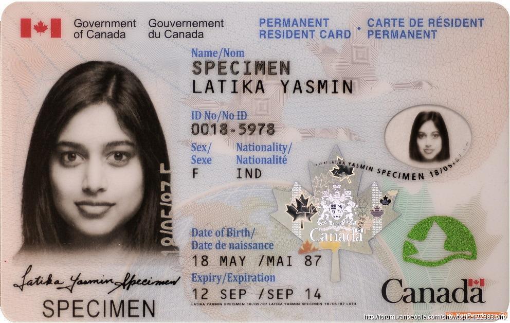 18469_1259120296yuUZ.jpg