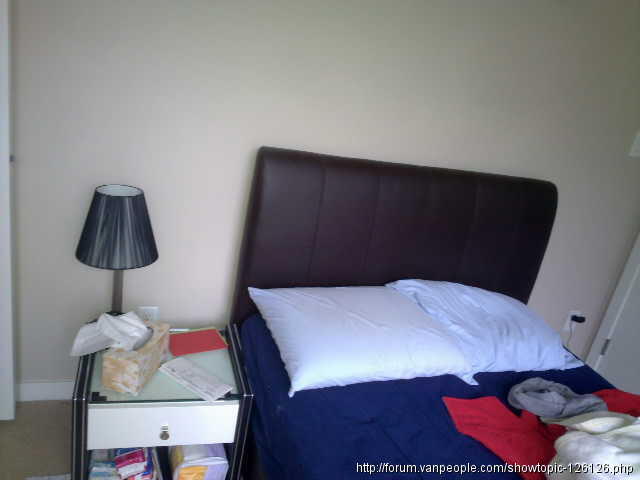 20120221441.jpg