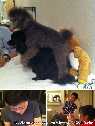 QQ截图20120222132336.jpg