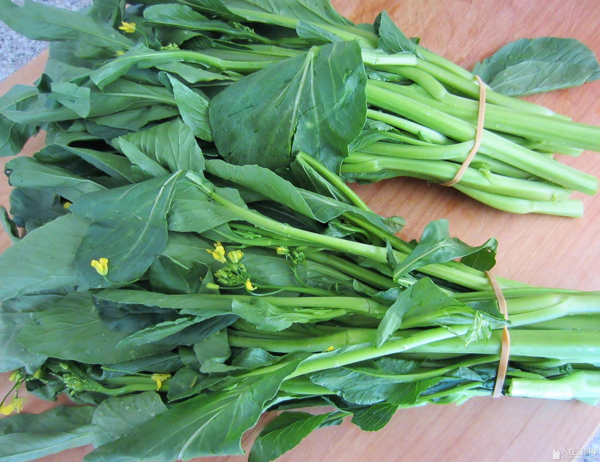 这些蔬菜你都知道吗？ - 欢乐灌水-人在温哥华VanPeople.com